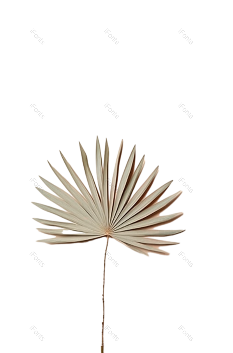 商品图片,扁平化设计元素,摄影PNG,几何形状免抠素材